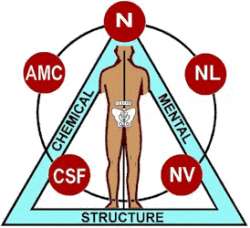 Applied Kinesiology Scottsdale AZ